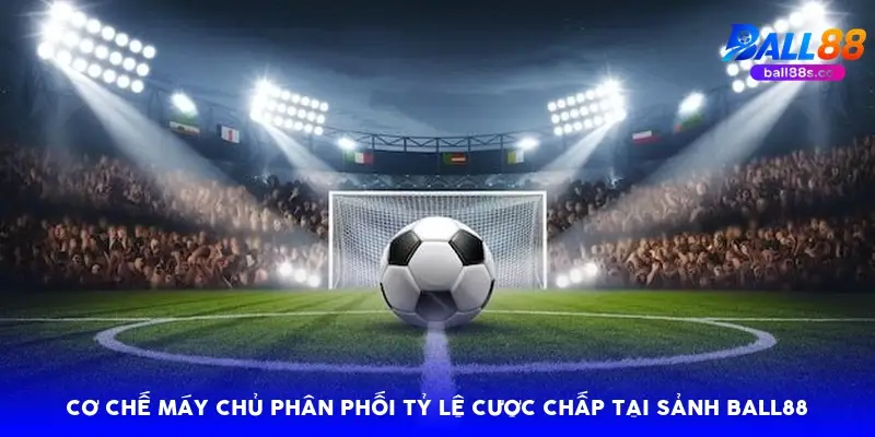 Cơ chế máy chủ phân phối tỷ lệ cược chấp tại sảnh Ball88