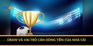 Draw và vai trò cân dòng tiền của nhà cái