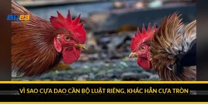 Vì sao cựa dao cần bộ luật riêng, khác hẳn cựa tròn?