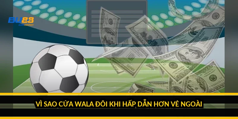 Vì sao cửa Wala đôi khi hấp dẫn hơn vẻ ngoài
