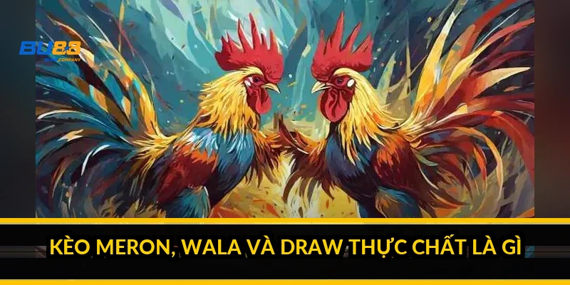 Kèo Meron, Wala và Draw thực chất là gì?