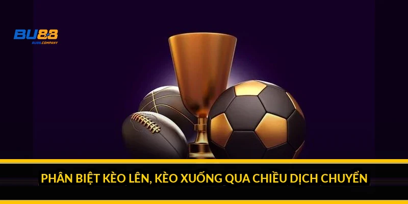 Phân biệt kèo lên, kèo xuống qua chiều dịch chuyển