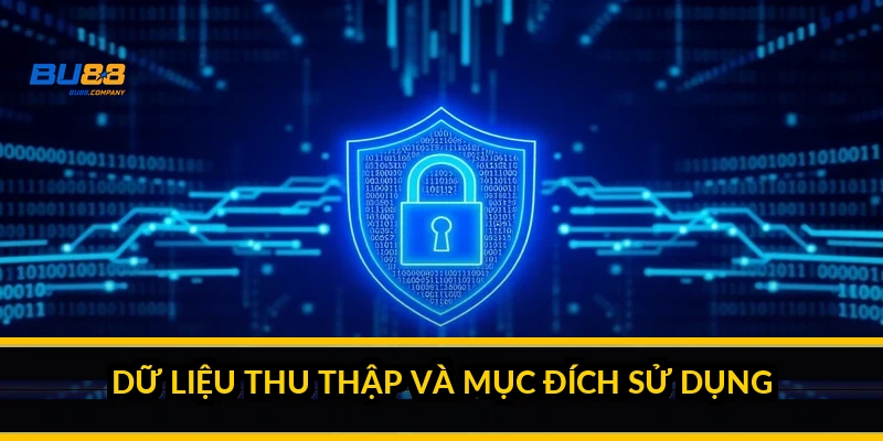 Chính sách bảo mật BU88: cam kết, tiêu chuẩn và quyền kiểm soát dữ liệu Dữ liệu thu thập và mục đích sử dụng
