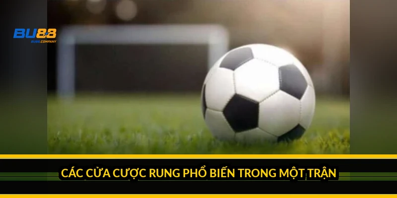 Các cửa cược rung phổ biến trong một trận