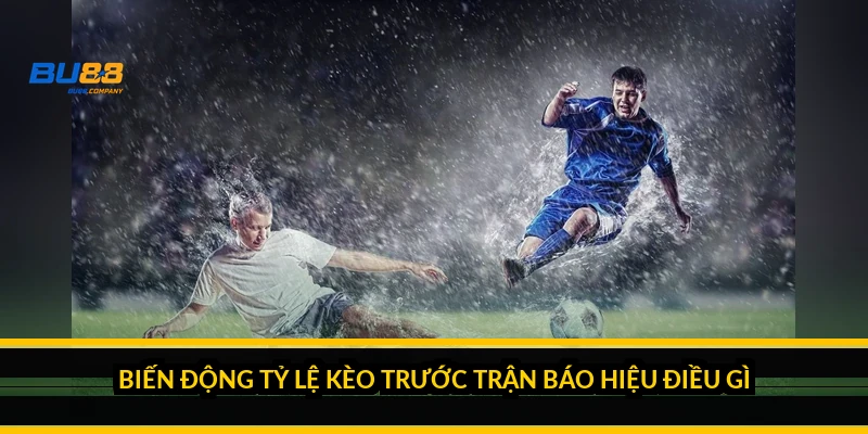 Biến động tỷ lệ kèo trước trận báo hiệu điều gì?