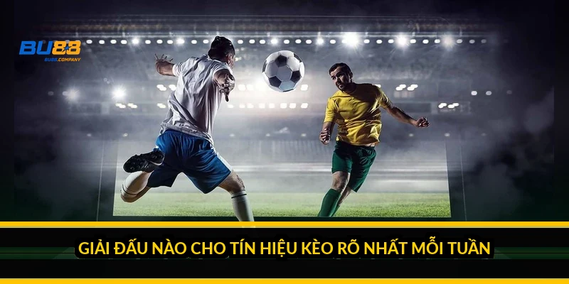 Giải đấu nào cho tín hiệu kèo rõ nhất mỗi tuần?