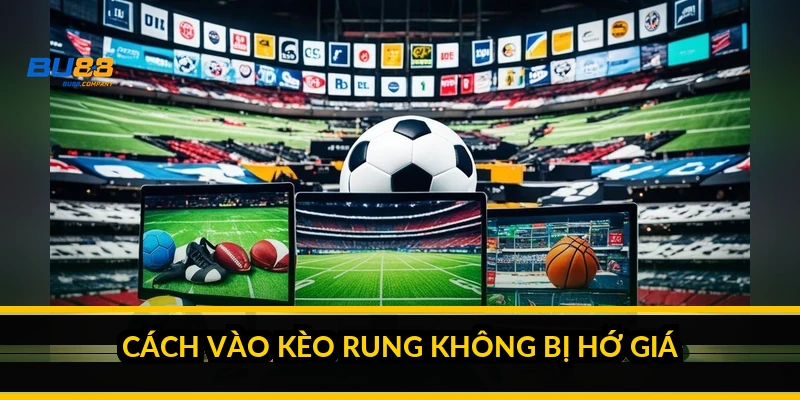 Cách vào kèo rung không bị hớ giá