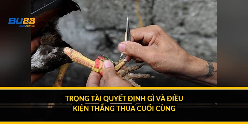 Trọng tài quyết định gì và điều kiện thắng thua cuối cùng?